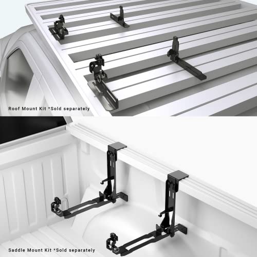 Cargo Case BX255