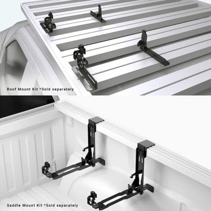 Cargo Case BX55S