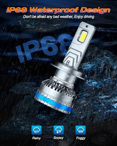 Upgraded H7 Fog Bulbs