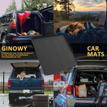 Floor Mats & Cargo Liner for Honda Passport 2019