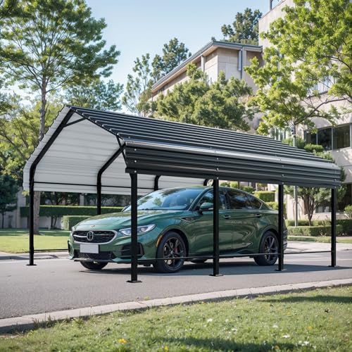 12x15 FT Metal Carport