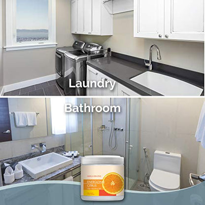 Air Freshener Odor Absorber Gel (30 Ounce)