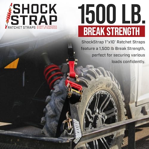 Ratchet Strap (4 Count)