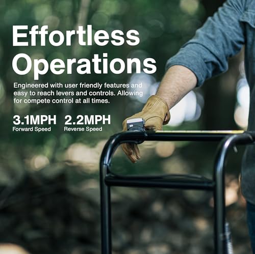 Electric Utility Cart