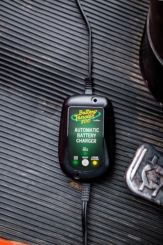 800 is a SuperSmart Battery Charger that will Constantly Monitor