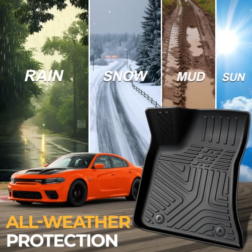 Floor Mats for 2011