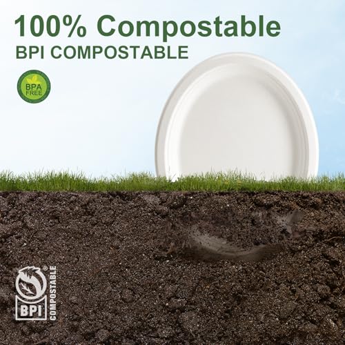 100% Compostable Oval Paper Plates 12 Inch (125 Count)