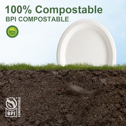 100% Compostable Oval Paper Plates 12 Inch (125 Count)