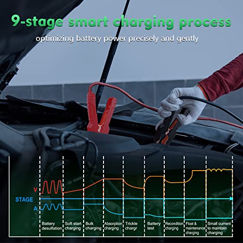 25 Amp Lithium Battery Charger