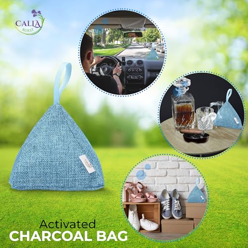 4 Pack Bamboo Charcoal Air Purifier Bags 200 Grams Each (28 Ounce)
