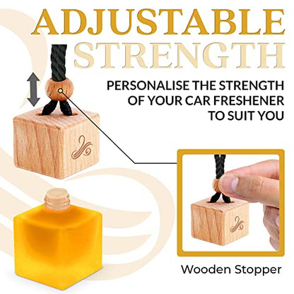 Car Air Freshener for Men