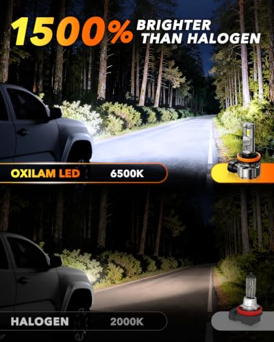 H11 LED Bulbs (2 Count)