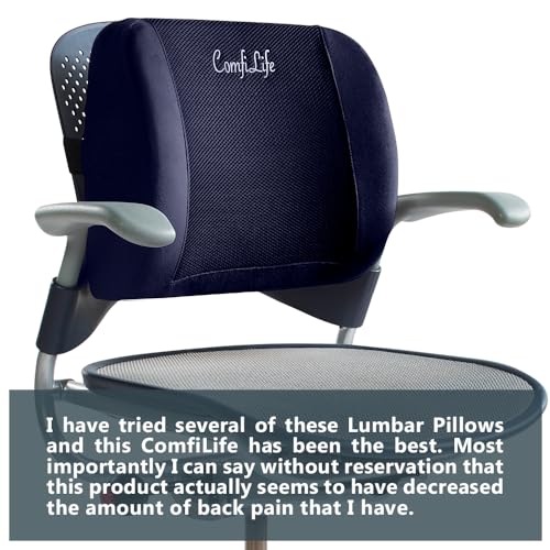 Lumbar Support Back Pillow Office Chair and Car Seat Cushion