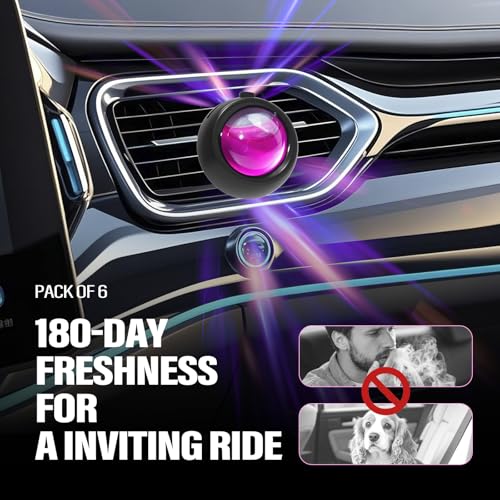 Car Air Freshener Vent Clips (6 Count)