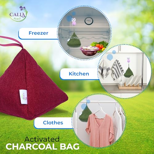 4 Pack Bamboo Charcoal Air Purifier Bags 200 Grams Each (28.2 Ounce)