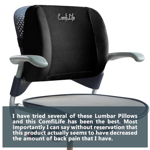 Lumbar Support Back Pillow Office Chair and Car Seat Cushion