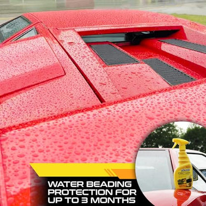 Fast Wax Carnauba Detailing Spray (16 Fl Oz)