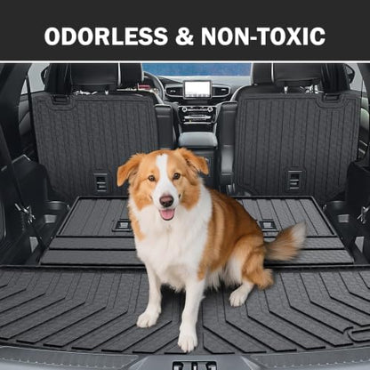 Floor Mats for 2020 (8 Count)