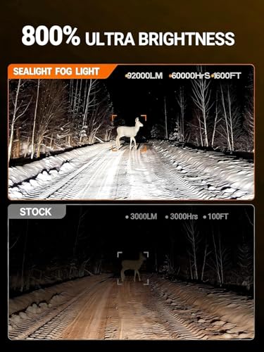 9005 9006 Fog Light Bulbs (4 Count)