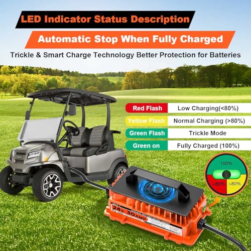 30A 24V Battery Charger 24 Volt Forklift Fast Charger with Anderson Plug Lead
