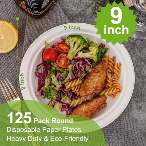 Paper Plates 9 Inch 125 (125 Count)