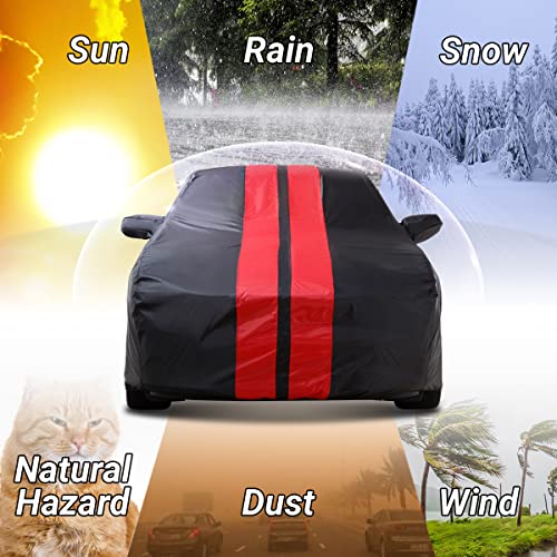Car Cover for 1982