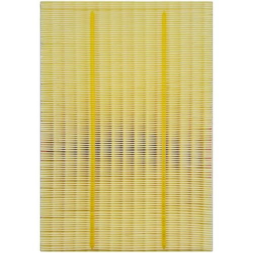 for Engine Air Filter JM5303 Fits for Ram 1500