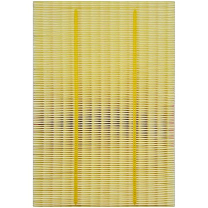 for Engine Air Filter JM5303 Fits for Ram 1500