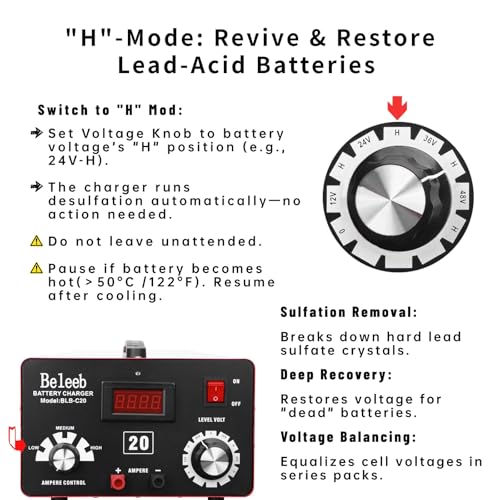 C20 Adjustable Battery Charger 12V 24V 36V 48V