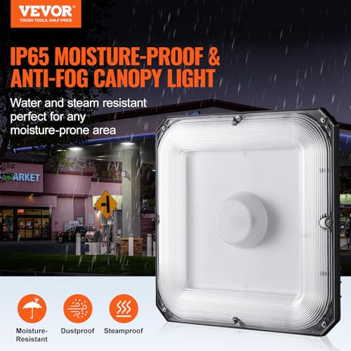 4 Pack LED Canopy Lights (4 Count)