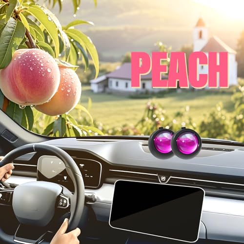 Car Air Freshener Vent Clips (6 Count)