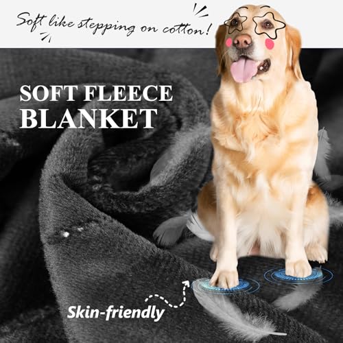 Back Seat Extender for Dogs