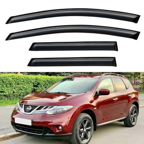 Window Visors Rain Guards for 2009