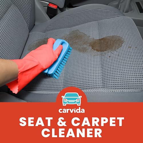 Seat & Carpet Instant Cleaner (16 Fl Oz)