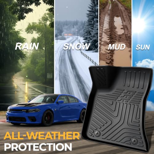 Floor Mats for 2011