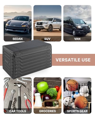 Cargo Organizer