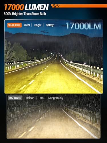 H11 LED Fog Light Bulb
