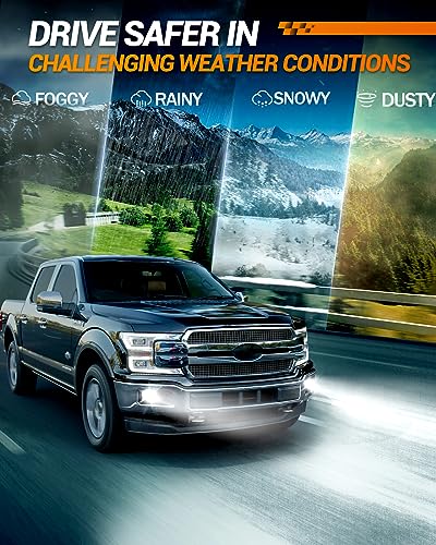 5202 LED Fog Light Bulbs or DRL (2 Count)