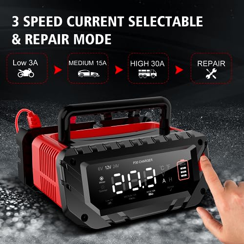 30 Amp Lithium Battery Charger
