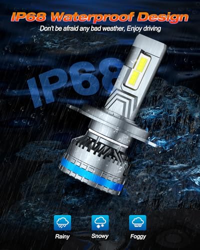 2026 H4 9003 HB2 Light Bulbs (2 Count)