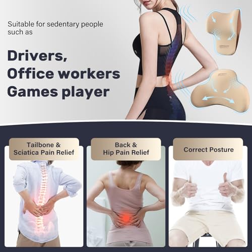 Lumbar Support and Car Neck Pillow