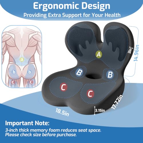 Seat Cushion with Lumbar Support Pillow