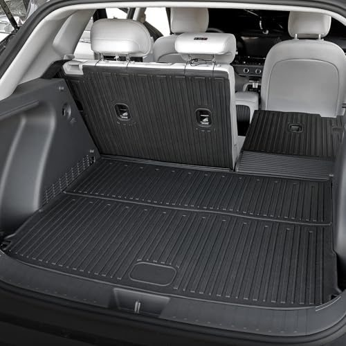 Floor Mats for 2024