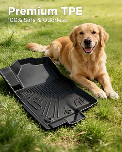 Car Floor Mats for Nissan Frontier 2026 2025 2024 2023 2022 Crew Cab Gift