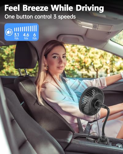 12V Car fan 3