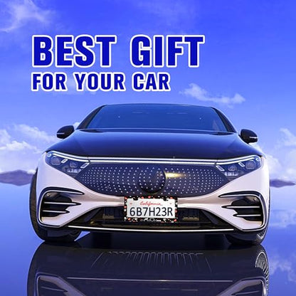 Dog Paw Prints License Plate Frame Stainless Steel Car Parts 2 Hole 6x12 in
