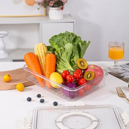 Divided Serving Tray with Lid and Handle