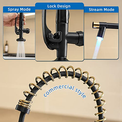 LED Kitchen Faucet with Pull Down Sprayer