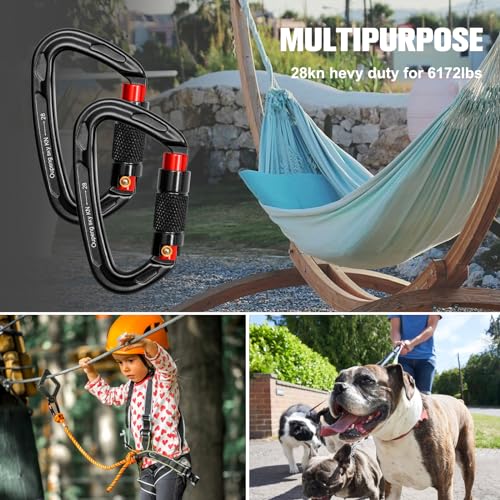 Auto Locking Carabiner Clips (2 Count)