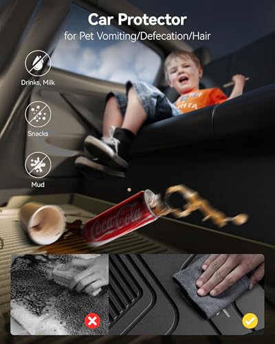 Floor Mats Fit for 2019